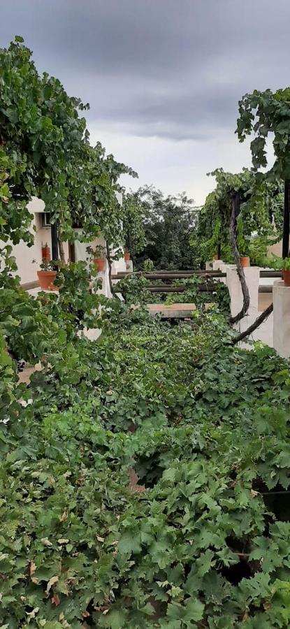 cabañas Yamasu Huasi Cafayate Bagian luar foto